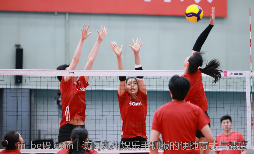 访问九州娱乐手机版的便捷方式与技巧
